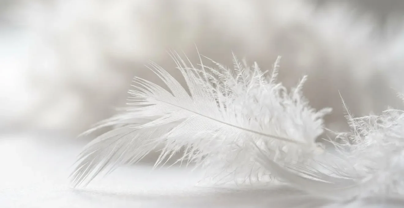 Gros plan macro sur une texture de duvet blanc naturel avec quelques plumes isolées visibles en arrière-plan flouté